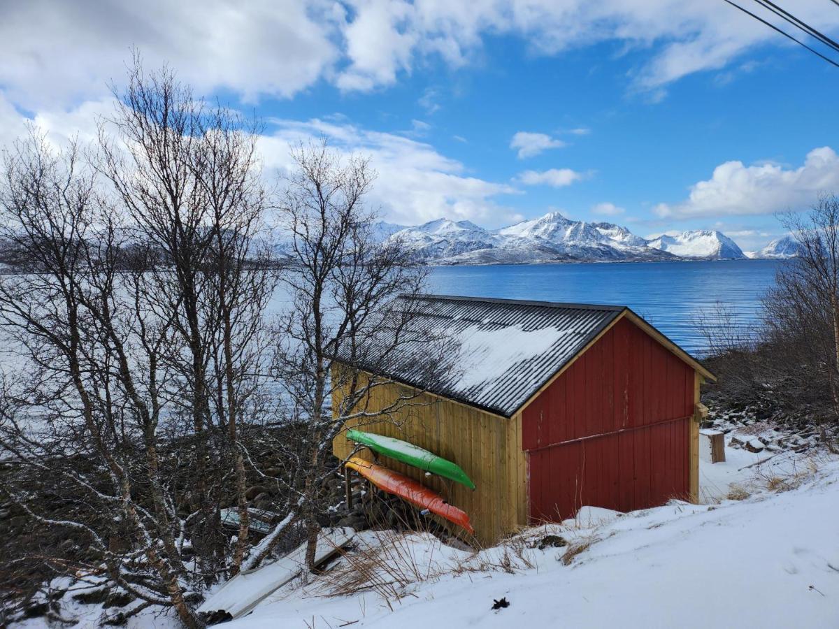 Senja Skaland Holiday home *
