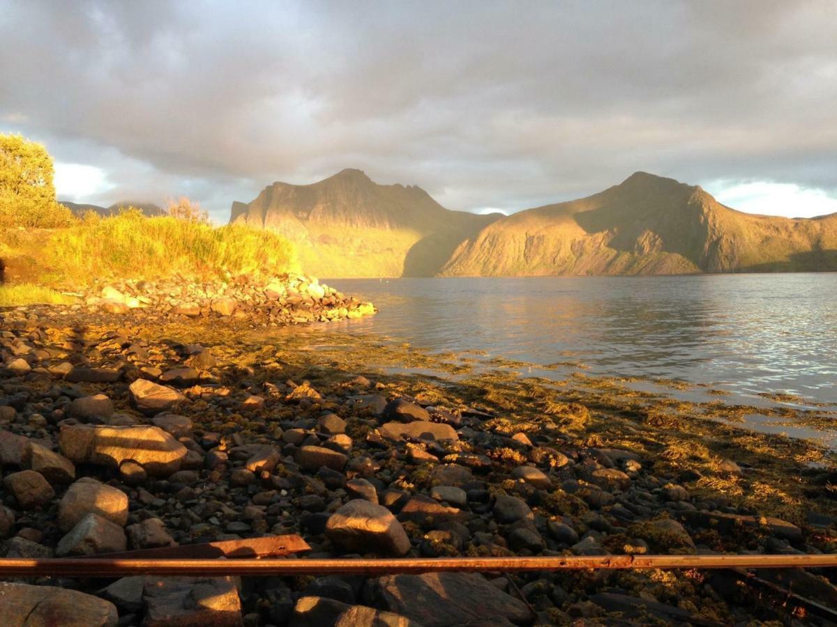 Senja Skaland Holiday home *